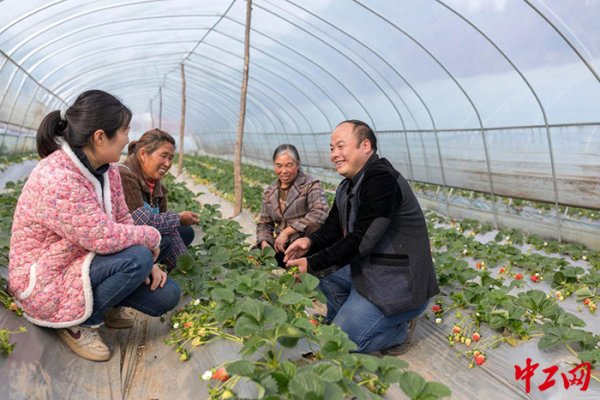 天天配资网 劳模风采·2025年全国劳动模范 | 李世瑶：将“论文”书写在家乡的大地上