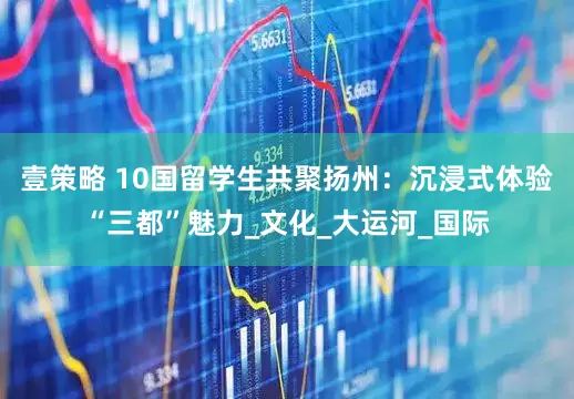 壹策略 10国留学生共聚扬州：沉浸式体验“三都”魅力_文化_大运河_国际