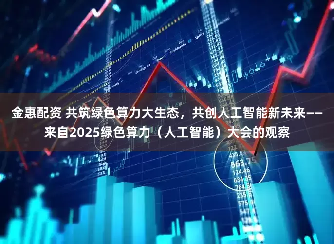 金惠配资 共筑绿色算力大生态，共创人工智能新未来——来自2025绿色算力（人工智能）大会的观察